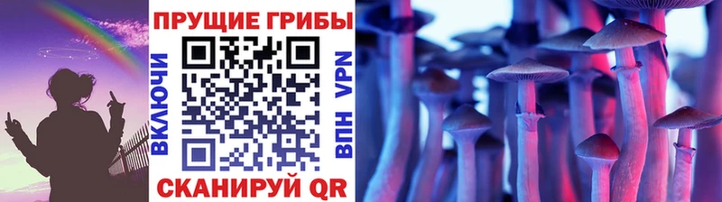 Галлюциногенные грибы прущие грибы  Элиста 